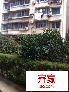 東方紅花園外景圖