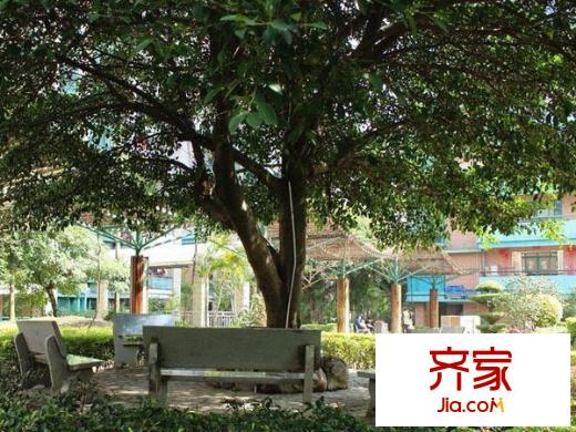 武夷嘉園外景圖 
