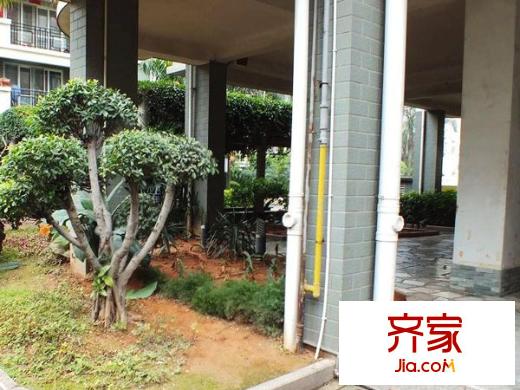 庭芳苑外景圖 