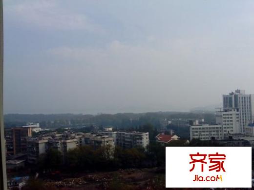 新安金沙豪庭外景圖 