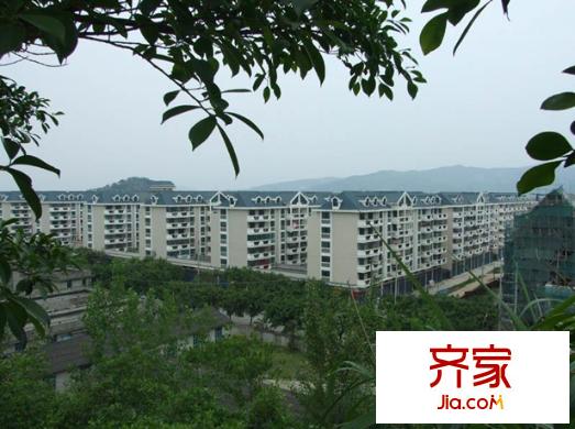 千家花園外景圖Q 