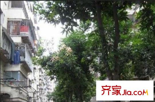 怡豐花園 3室 戶型圖