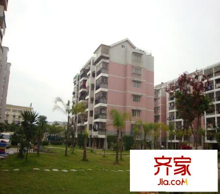金霞小區(qū)外景圖 