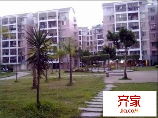 金霞小區(qū)外景圖 