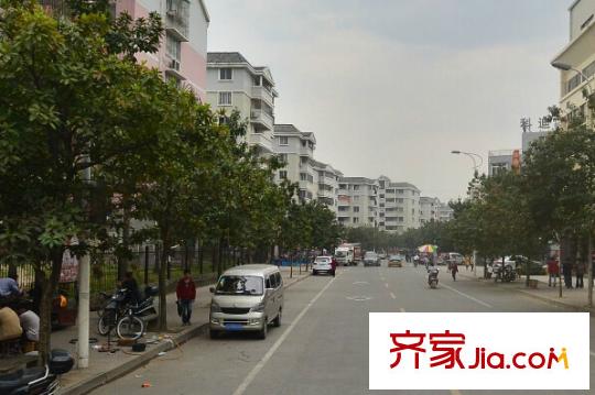 金霞小區(qū)配套圖周邊配套 街道
