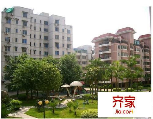金霞小區(qū)外景圖 
