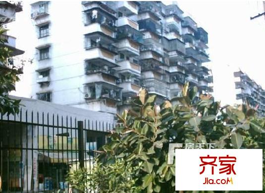 茶會東區(qū)外景圖 