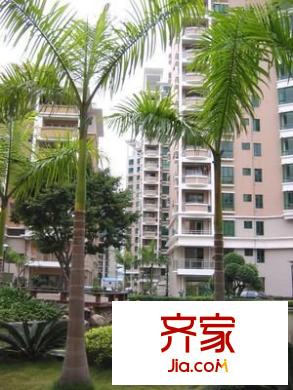 碧水芳洲水云天外景圖碧水芳洲 水云天 