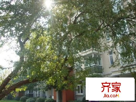 東風(fēng)陽(yáng)光城三期