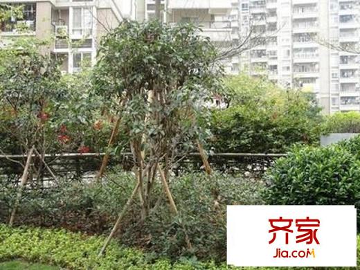 融僑錦江G區(qū)華府外景圖 