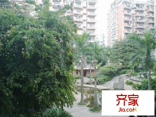 九龍城外景圖 