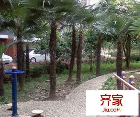 江岸紫荊花園外景圖紫荊花園二期 