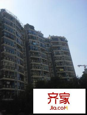 江岸紫荊花園外景圖