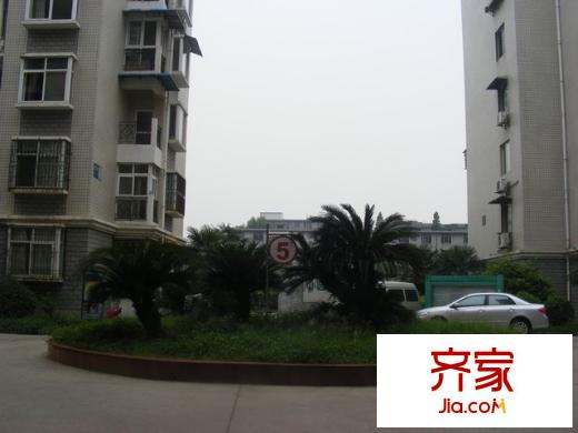 桂苑西村外景圖小區(qū)相關(guān)圖 