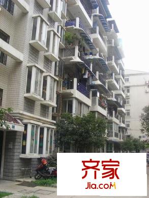 桂苑西村