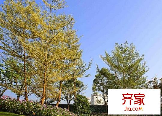 建發(fā)領(lǐng)第一區(qū)外景圖 