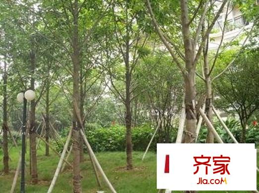郁馨花園二期外景圖 郁馨花園一期 
