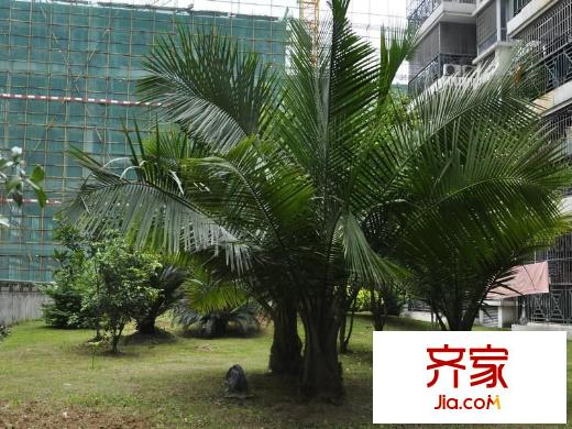 榕江新天地