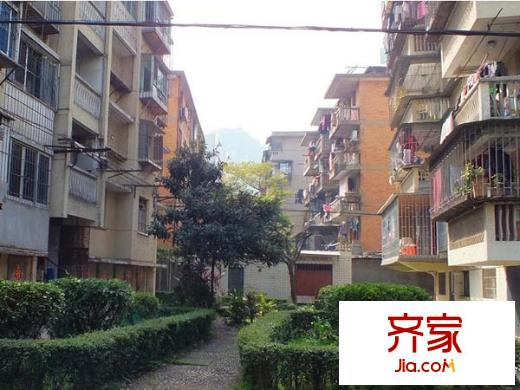 白馬河新村外景圖 