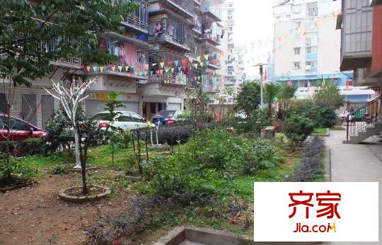 新興小區(qū)外景圖 