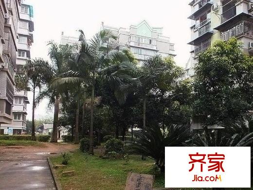 高校小區(qū)外景圖 
