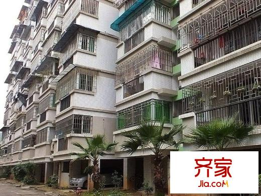 高校