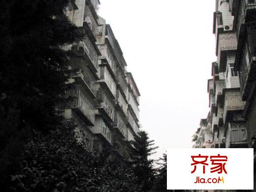 銀湖花園外景圖 