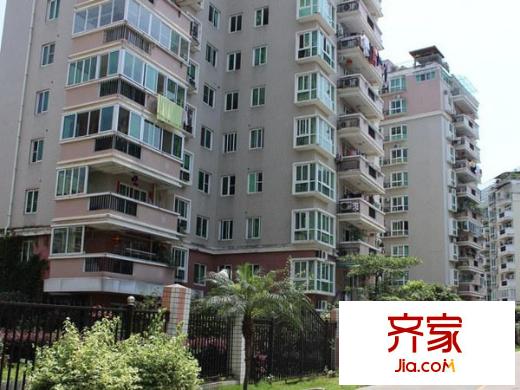 金山碧水一期雨桐苑外景圖 