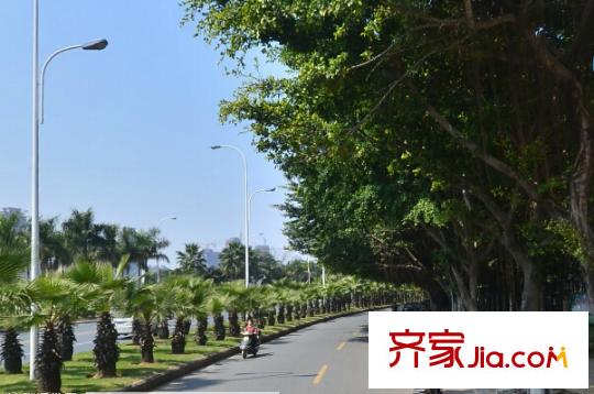 美倫浩洋麗都B區(qū)配套圖周邊配套 街道
