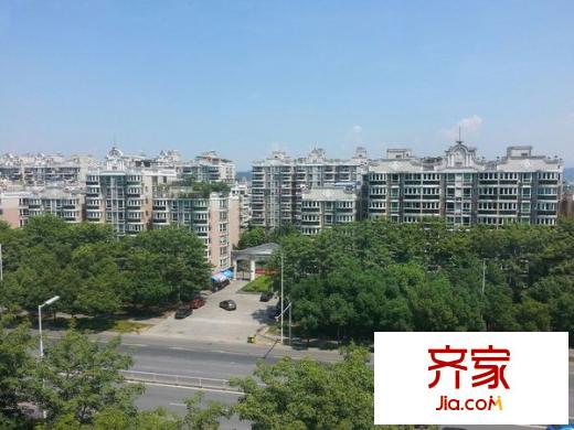 金山明星外景圖 