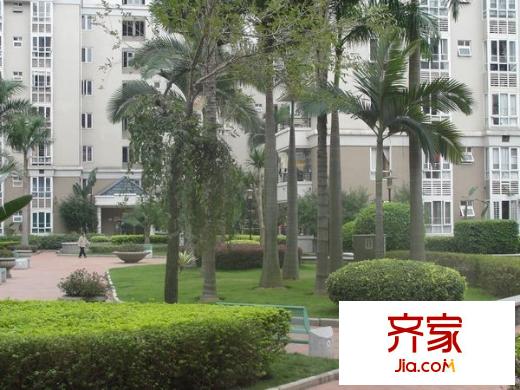融僑錦江A區(qū)外景圖 