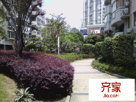 康城二期外景圖 
