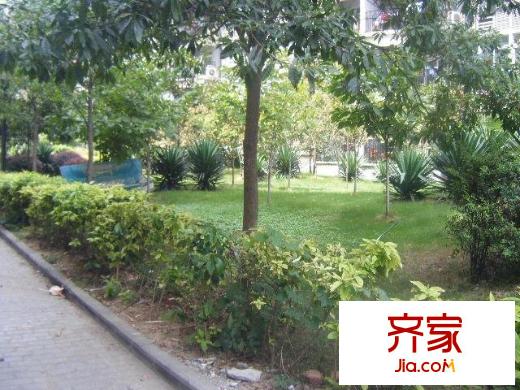 金色世家外景圖   