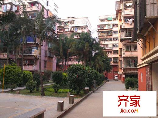 金浦小區(qū)外景圖 