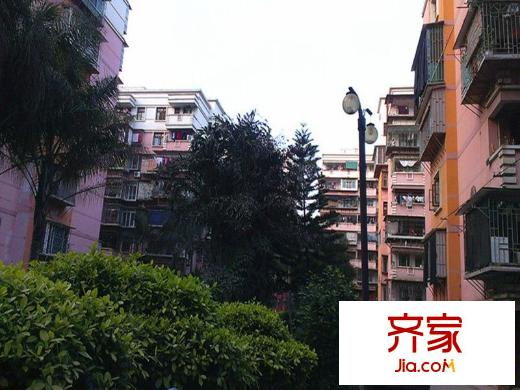 金浦小區(qū)外景圖 