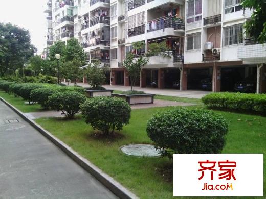 金山碧水二期龍鳳苑外景圖 