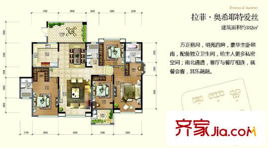 三盛國(guó)際公園拉菲公館戶型圖戶型圖9 