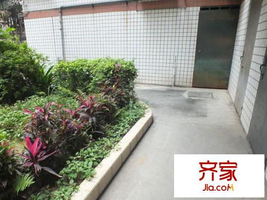 九彩華庭外景圖 