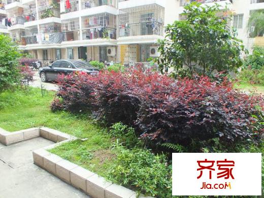 九彩華庭外景圖 