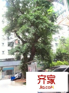 光祿新坊外景圖 