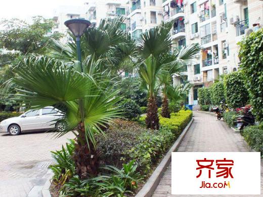 濱海嘉年華學(xué)生公寓外景圖 