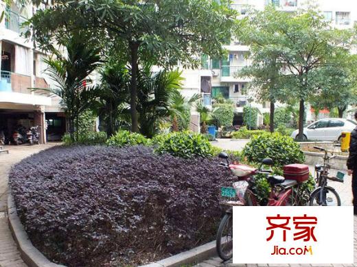 濱海嘉年華學(xué)生公寓外景圖 