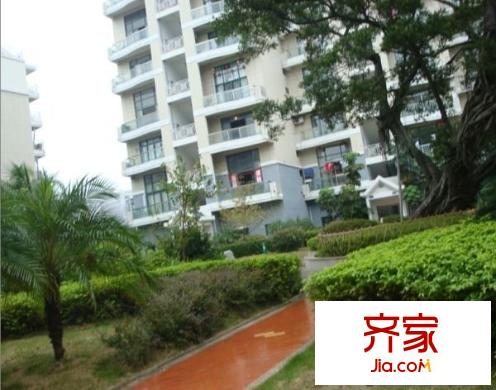 香江明珠外景圖 