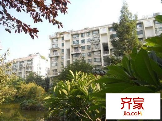 香江明珠外景圖 
