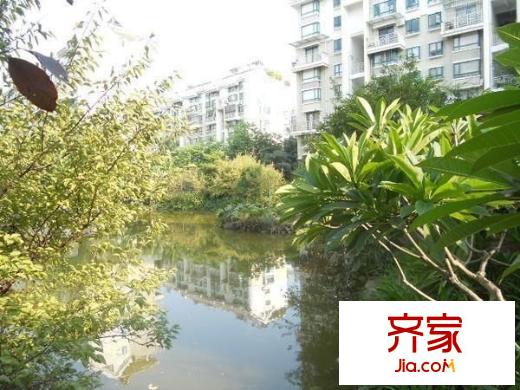 香江明珠外景圖 