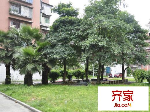 上洋小區(qū)外景圖 