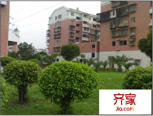 上洋小區(qū)外景圖 