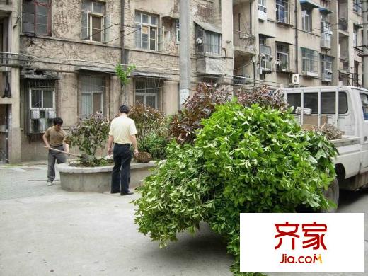 黃埔小區(qū)外景圖 