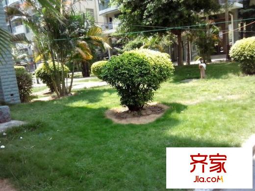 水岸華庭外景圖 