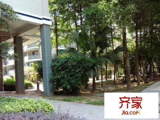 水岸華庭外景圖 